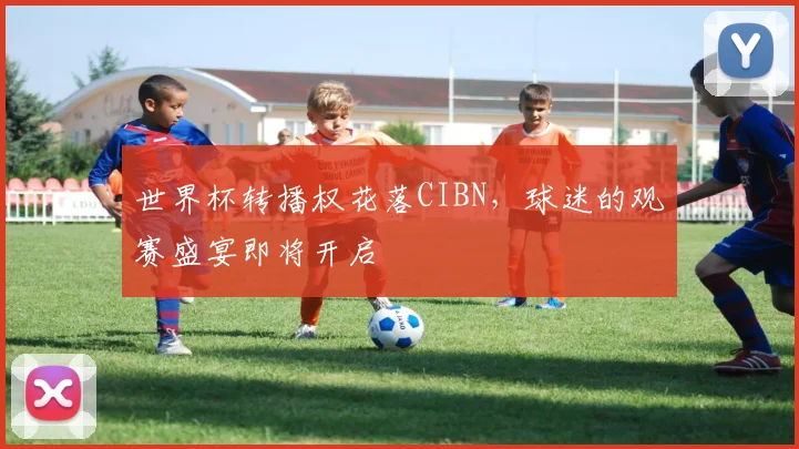 世界杯转播权花落CIBN，球迷的观赛盛宴即将开启