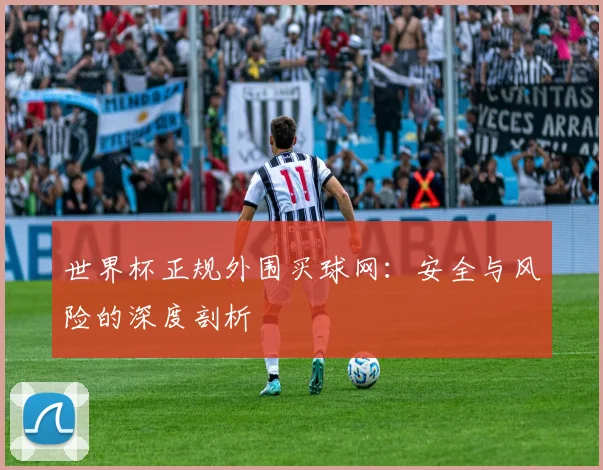世界杯正规外围买球网:安全与风险的深度剖析