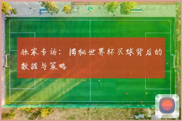 独家专访：揭秘世界杯买球背后的数据与策略
