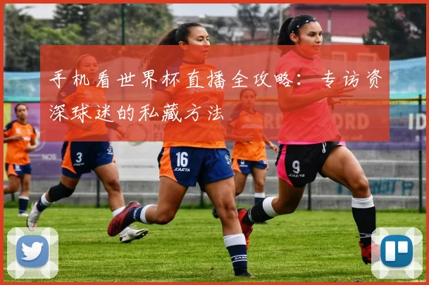 手机看世界杯直播全攻略：专访资深球迷的私藏方法