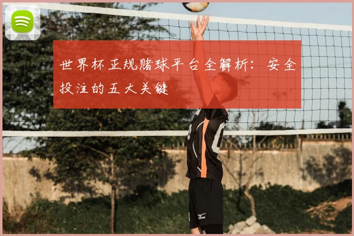 世界杯正规赌球平台全解析:安全投注的五大关键