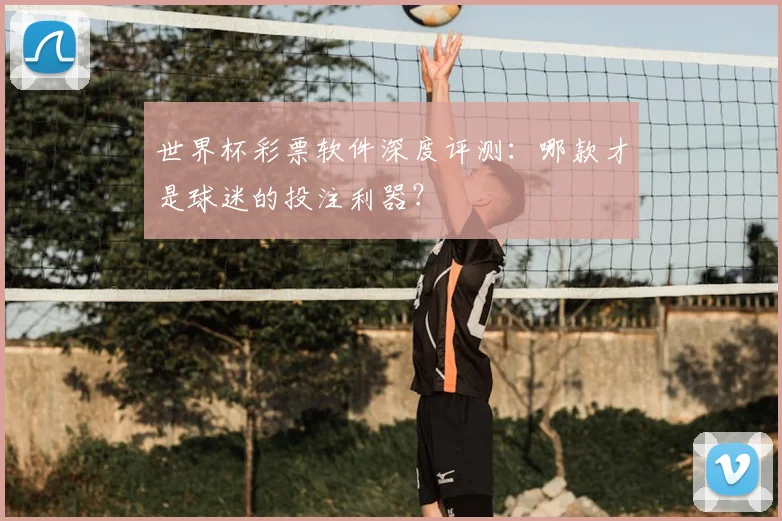 世界杯彩票软件深度评测：哪款才是球迷的投注利器？