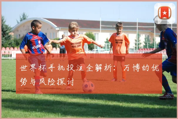 世界杯手机投注全解析:万博的优势与风险探讨