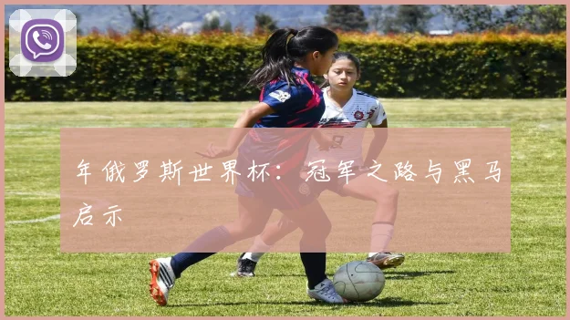 年俄罗斯世界杯：冠军之路与黑马启示